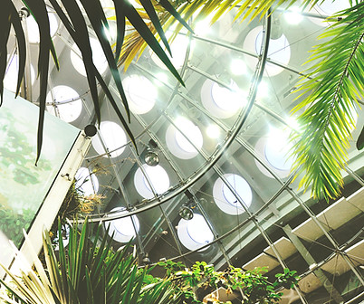 California Academy of Sciences