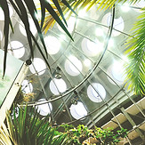 Indoor Tropical Greenhouse