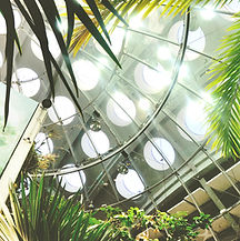California Academy of Sciences