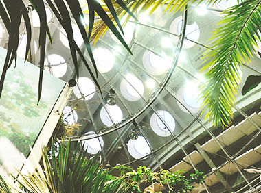 California Academy of Sciences