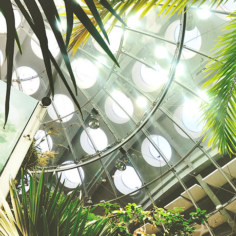 California Academy of Sciences