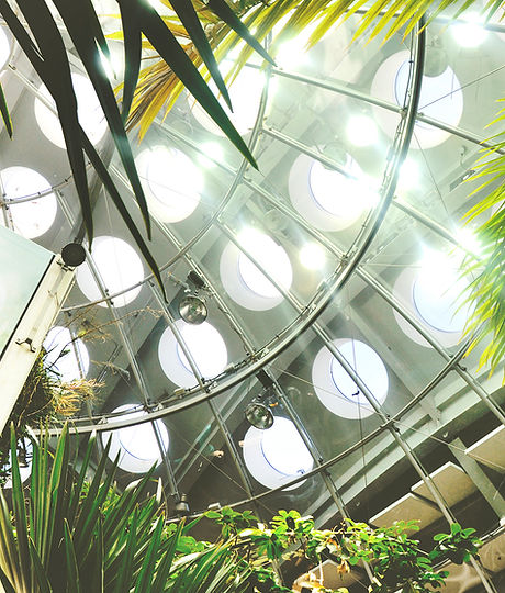 California Academy of Sciences