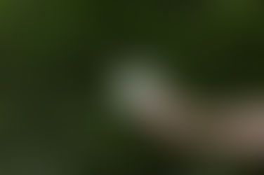 Neden, Neden ile Başlamalısın?