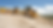 trucks_edited_edited.png