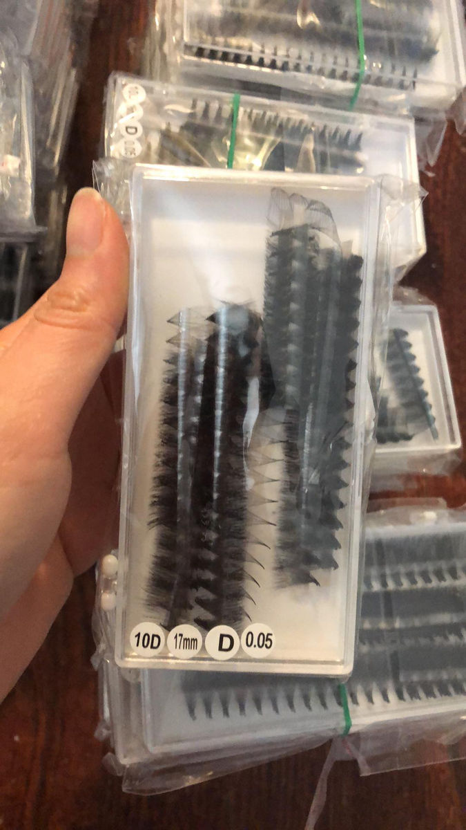 Ivy lash and Supply