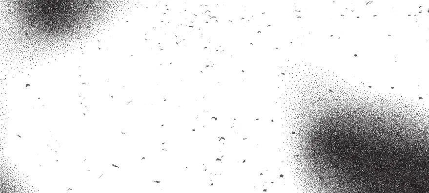 Snow removal expert platform canada.webp