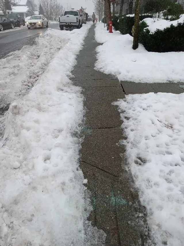 22020 49th Avenue Langley.jpeg