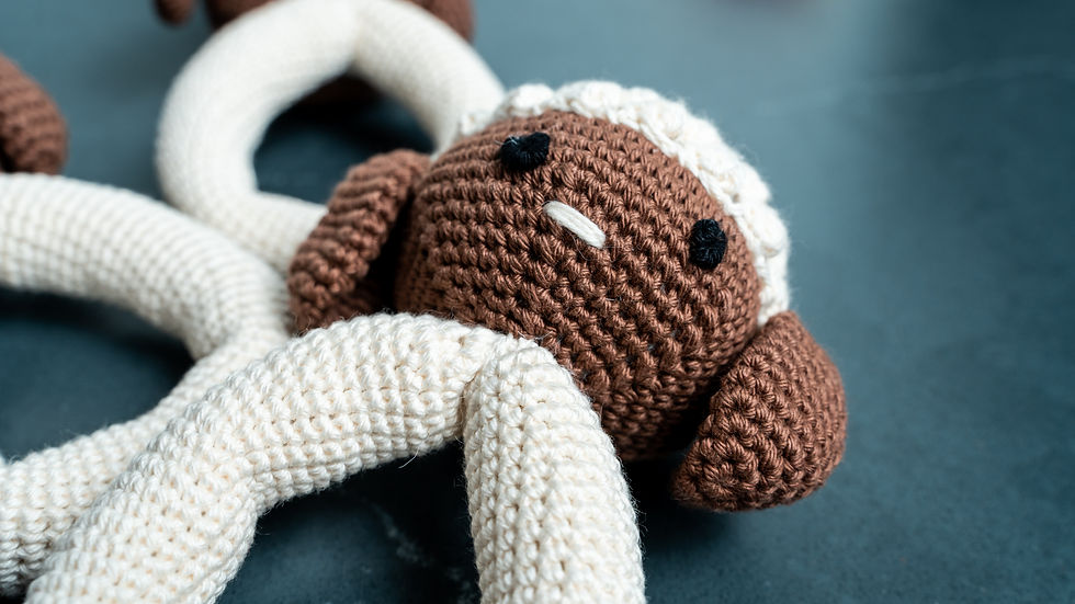 Thumbnail: Sheep Crochet Rattle