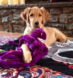 Leica Sixx and his octopus