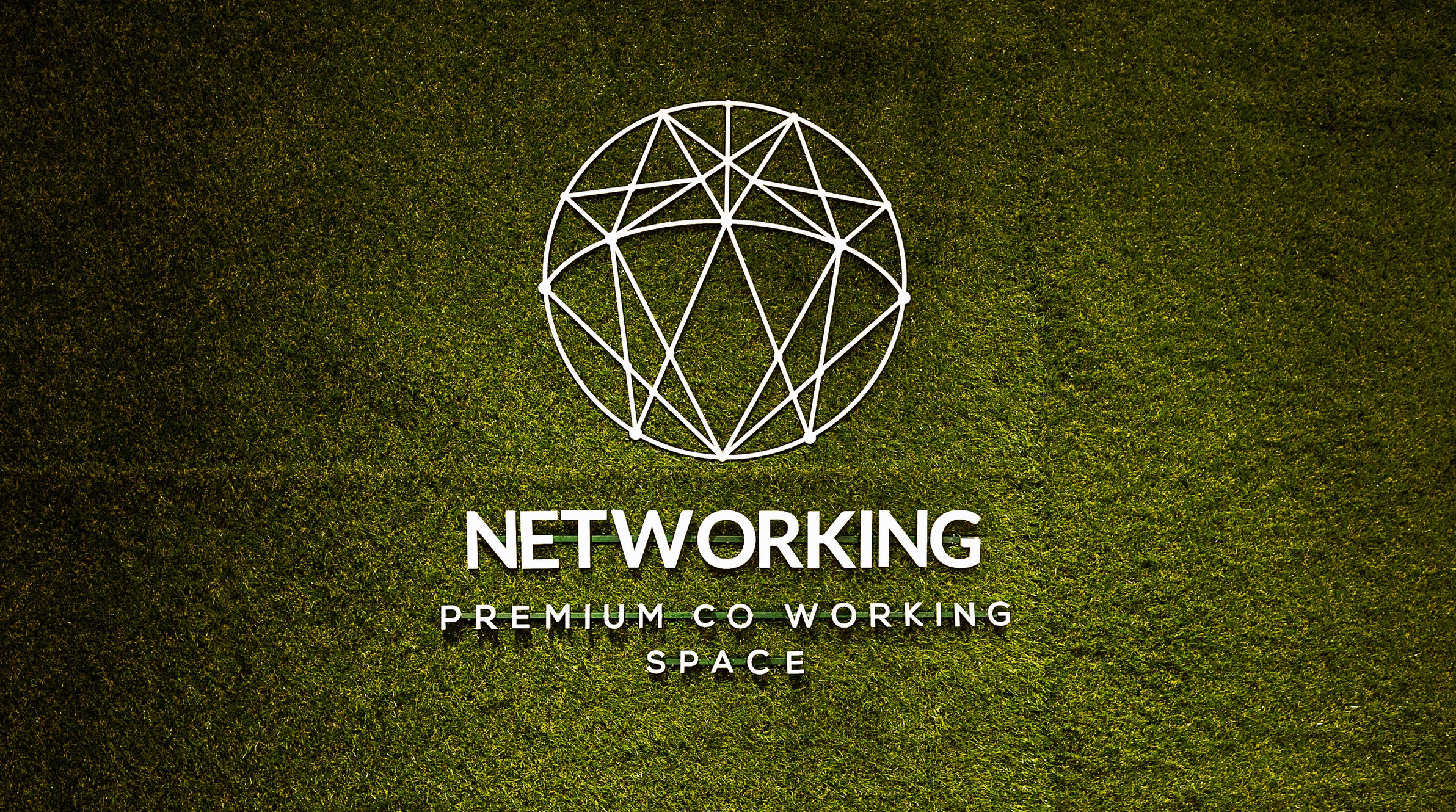 Членове Networking Premium