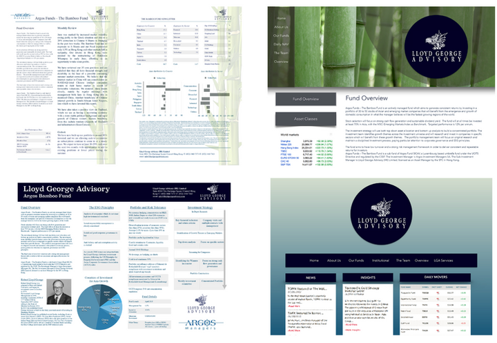 15) Layout Example Lloyd George Advisory.png