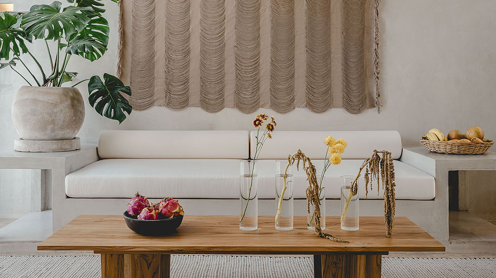 salon-home-staging-villas-tulum