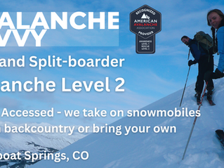 Avalanche Level 2