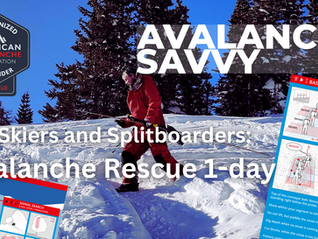 Avalanche Rescue for Skiers and Split Boarders March 15th, 2026 Steamboat Springs/Clark/North West Colorado