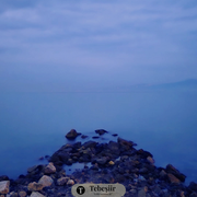 bataklığın kalbi