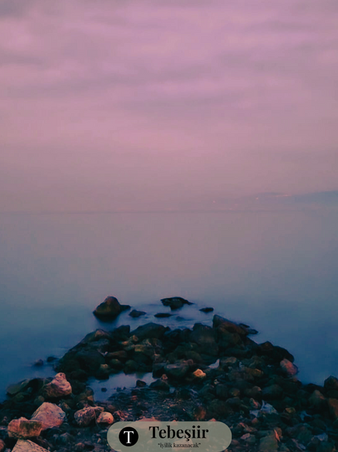 30 ekim-15 kasım 2019 