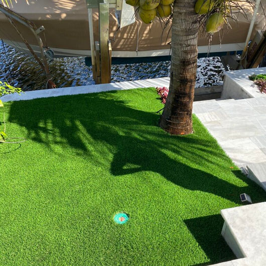 grass-46.jpeg