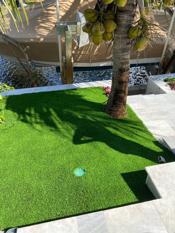 grass-46.jpeg