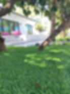 Artificial Grass Turf Painting