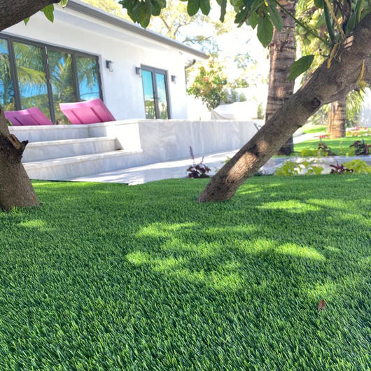 grass-51.jpeg