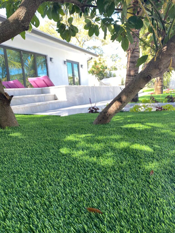 grass-51.jpeg