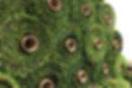 Artificial Grass Miami