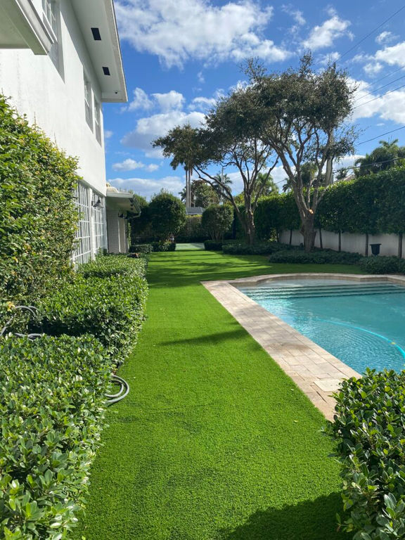 grass-35.jpeg