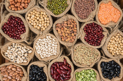Wellness coach legumes, seeds, nuts