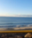 20231105_063343.jpg