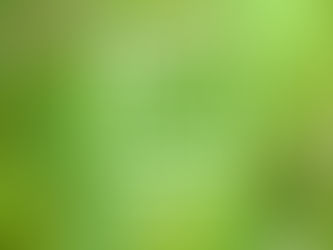 2017 Just Got A Whole Lot Greener!