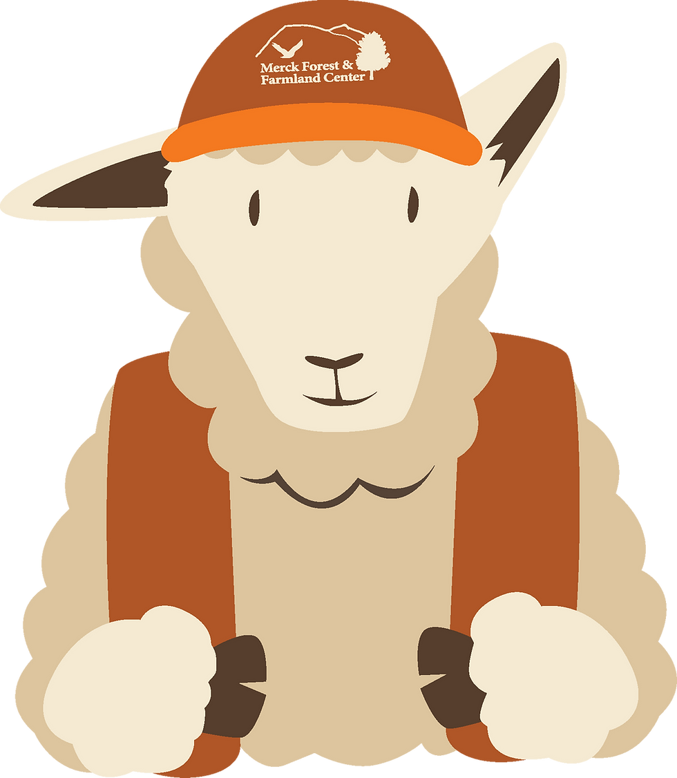 A cartoon sheep wearing a baseball cap and a backpack