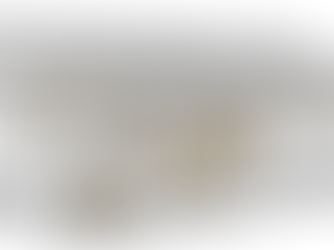 The New Animal Barn at Work