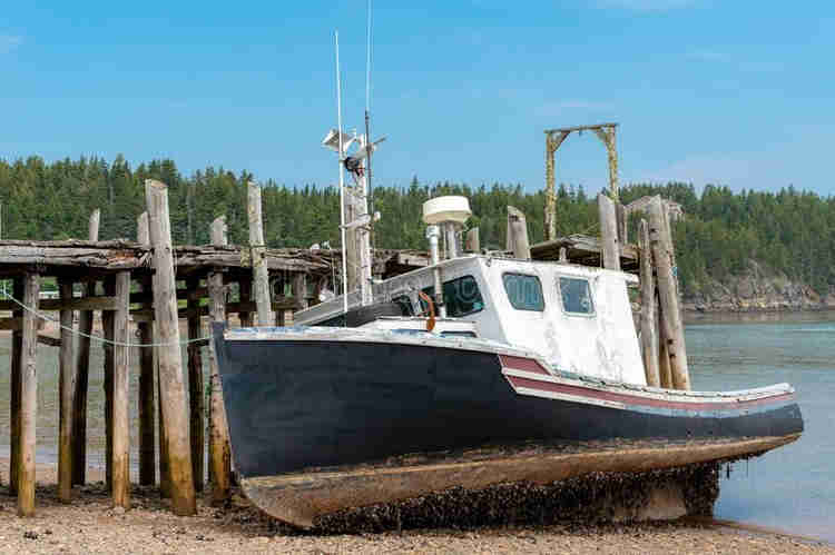 marine equipment supplier in UAE