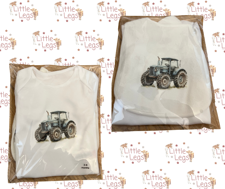 Bodysuit (3-6mnths) and Bib Set