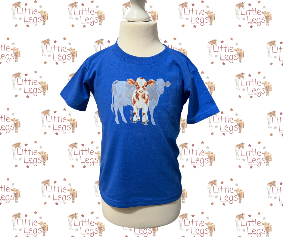T Shirt - 4yrs Royal Blue