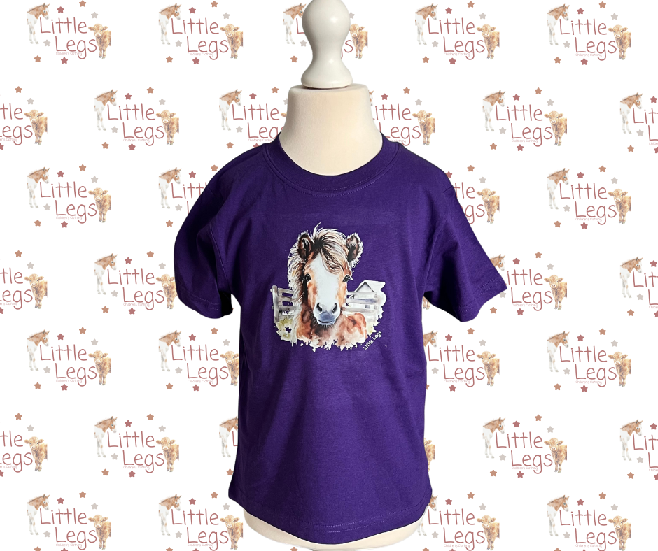 T Shirt - 3-4yrs Purple