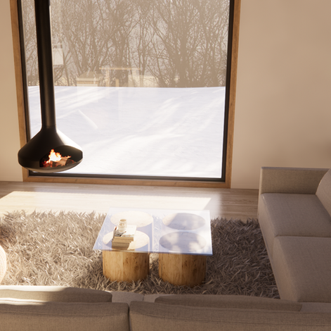 Chalet Nordique du Québec style scandinave, beautiful livingroom and Solarium -Spa with terrace, Design par Studio Angel & Co