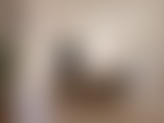 Découvrez le style scandinave : une alliance de simplicité et d'élégance.