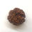 Thumbnail: 6 Mukhi Nepali Kantha Rudraksha