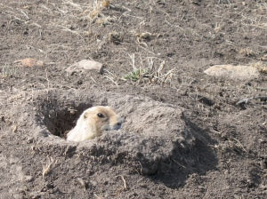 Day 8–Who is listening?