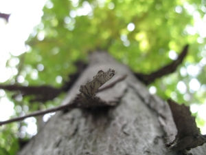 The River Inside: Letting Go of the "doer"