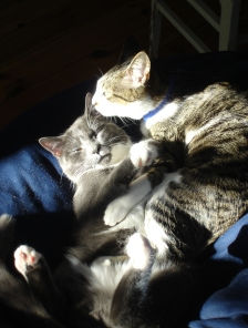 Day 9–Beyond Wrong and Right