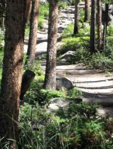 To Live My Life From Here: A Lesson In Comparison