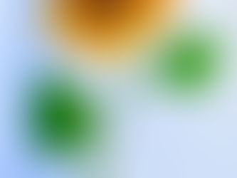 The Journey ~ What to Expect