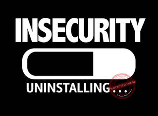 Why Insecurity?