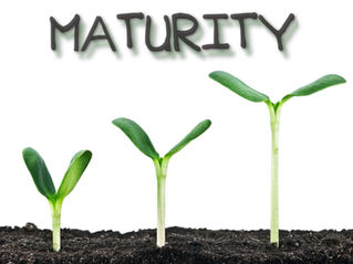 Reaching Maturity