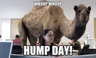 Hump Day
