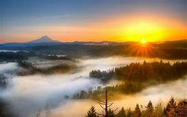 Sunshine!