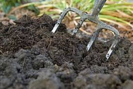 Fallowing the Ground