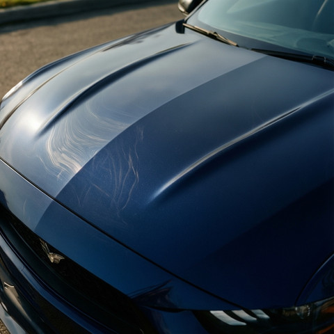 Exterior Paint Correction